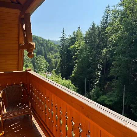 Pensjonat Alpejski Dwor Miedzygorze Exterior photo