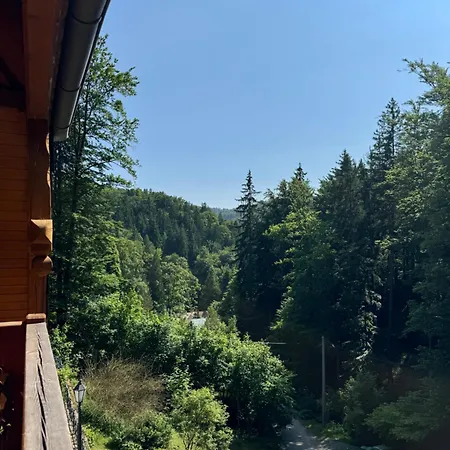 Pensjonat Alpejski Dwor Miedzygorze Exterior photo