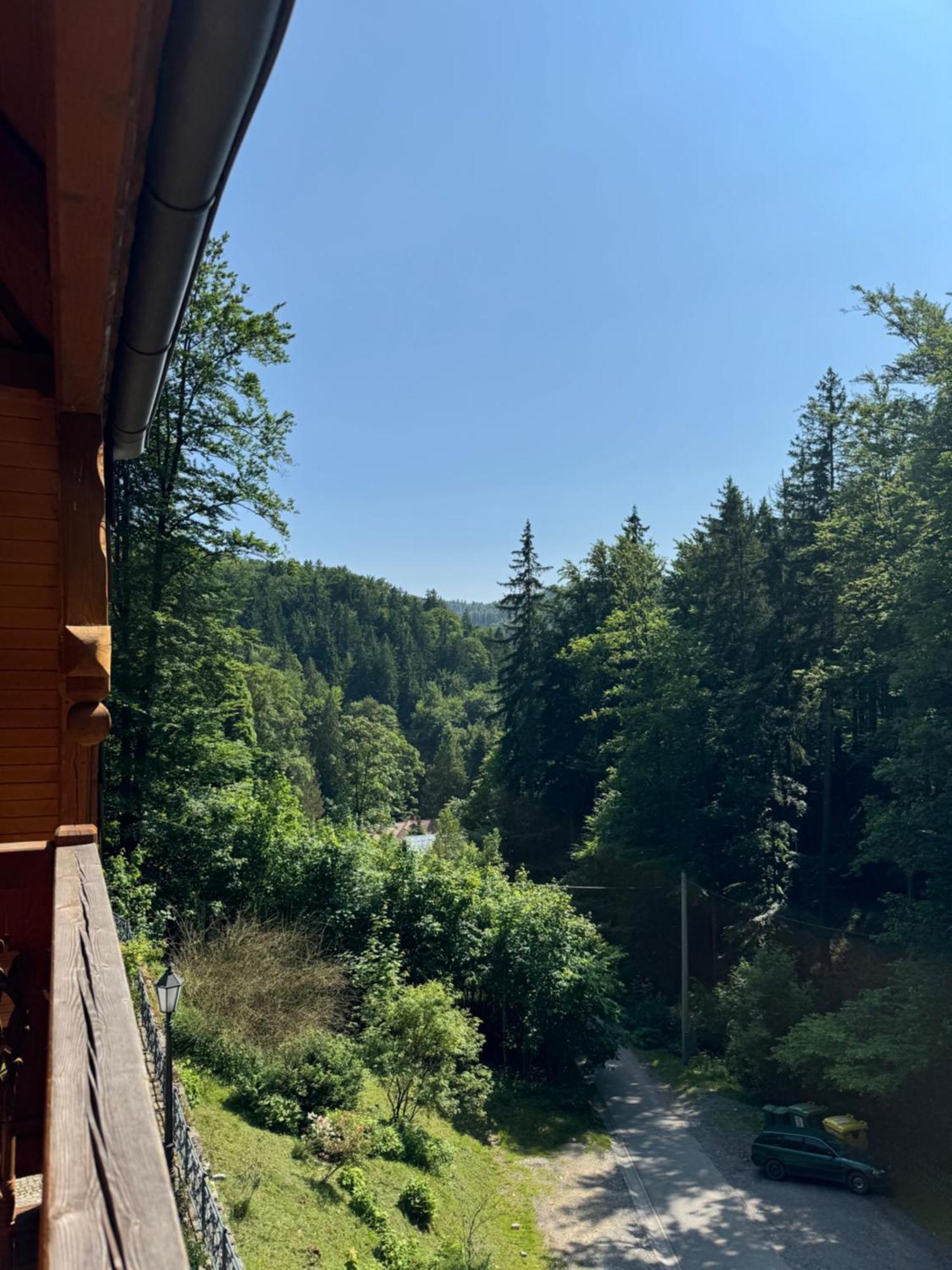 Alpejski Dwor