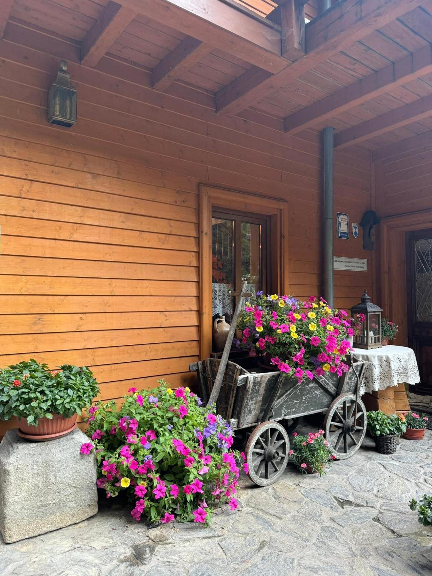 Alpejski Dwor Гостьовий будинок *
